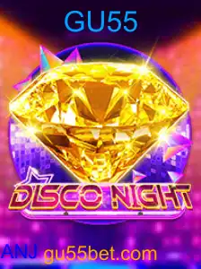 DiscoNight